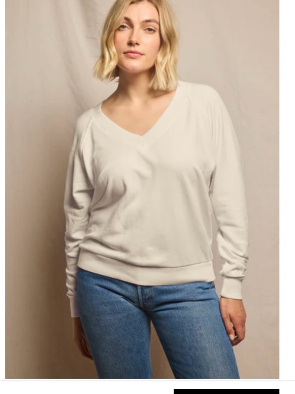 perfectwhitetee Sinead in Sugar V-Neck Pullover Sweatshirt XS